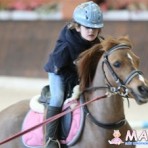 Детский конно-спортивный клуб "HORSELAND"