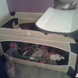 манеж-кровать с пеленатором coneko