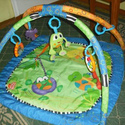 Коврик развивающий