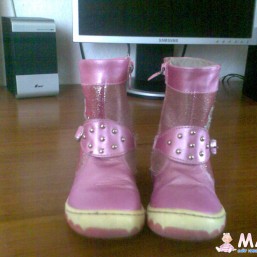 Сапоги демисезонные